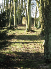 save-our-woods-greg-laver5