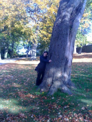 save-our-woods-tina2
