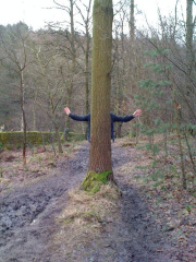save-our-woods-tina4