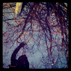 save-our-woods-tina5