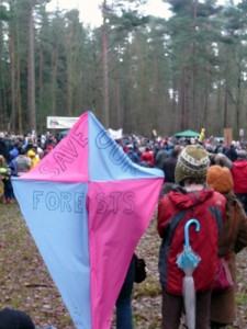 Save Chopwell Wood Protest
