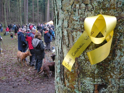 Save Chopwell Woods Protest