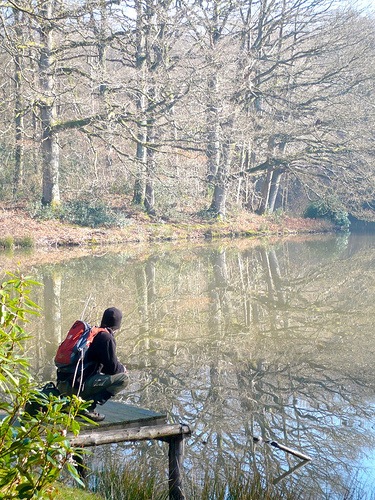 Love Trees - Tree Reflections - Nick Gallop 1