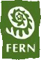 Fern