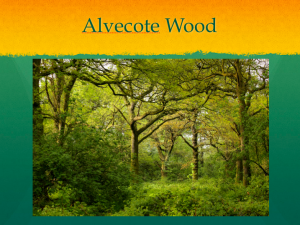 Biodiversity offsetting _ Alvecote wood presentation 3